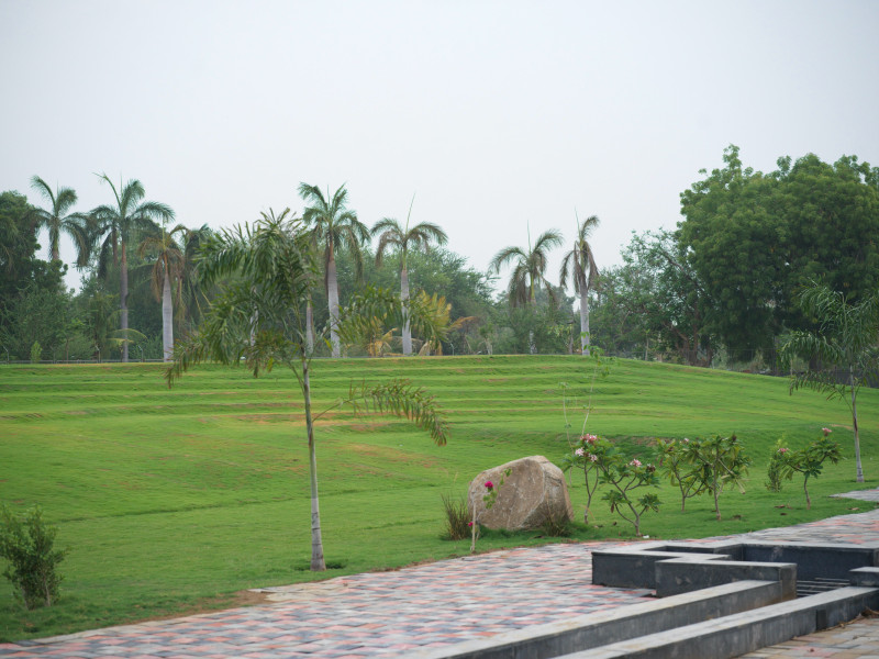 Outside Amphitheatre Garden